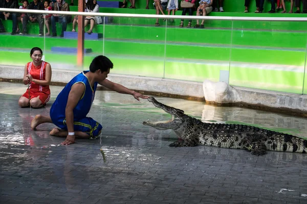 チョンブリ、タイ - 2015 年 1 月 1 日: クロコダイル ショー crocodil で — ストック写真