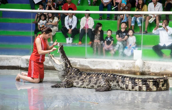 Τζον Buri, Ταϊλάνδη - Ιανουαρίου 2015 1: κροκόδειλος εμφάνιση στο crocodil — Φωτογραφία Αρχείου