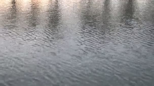 Une image d'un beau fond d'eau, eau, lac, vague, fond — Video