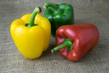 renkli biber ahşap tablo