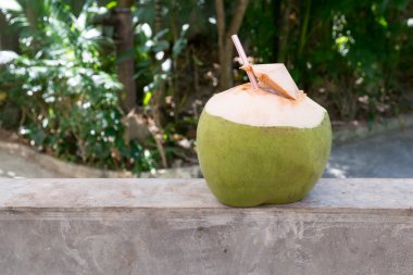 Hindistan cevizi suyu içecek