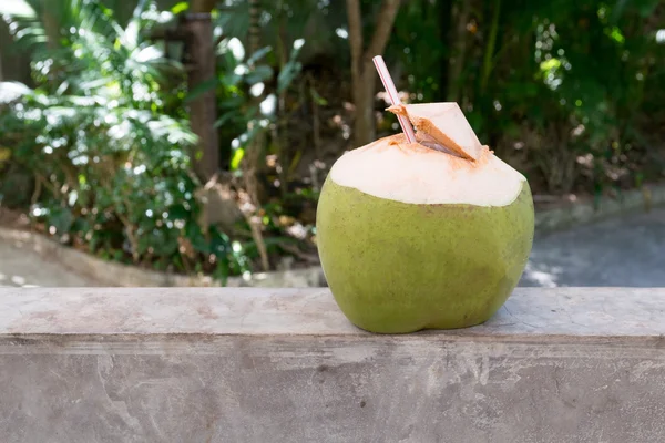 Hindistan cevizi suyu içecek