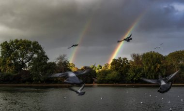 Çifte nadir gökkuşağı, uçan kuşlar ve nehir. Sonbahar ağaçları, arka plan. Hyde Park, Londra.