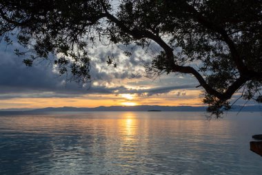 Filipinler 'in Moalboal kentindeki Pasifik Okyanusu' nun üzerinde tropik ağaç dalları ve dramatik bulutlar tarafından çerçevelenmiş altın gün batımı. Sakin deniz yansımaları deniz kıyısındaki bir tatil köyünden manzaralı sakin ve atmosferik bir kıyı manzarası yaratır..