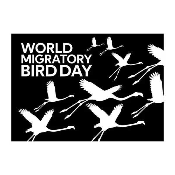 Φλαμίνγκο Παγκόσμια Μεταναστευτική Ημέρα Πουλιών Αφίσα Σχεδιασμό Διάνυσμα Εικονογράφηση — Διανυσματικό Αρχείο
