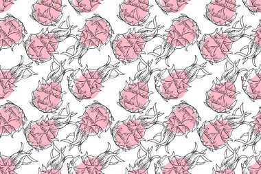 red pink dragon pitaya fruit exotic tropical food repeat seamless pattern doodle cartoon style wallpaper vector illustration