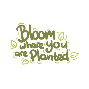 bloom where you are planted quote text typography design graphic vector illustration clipart