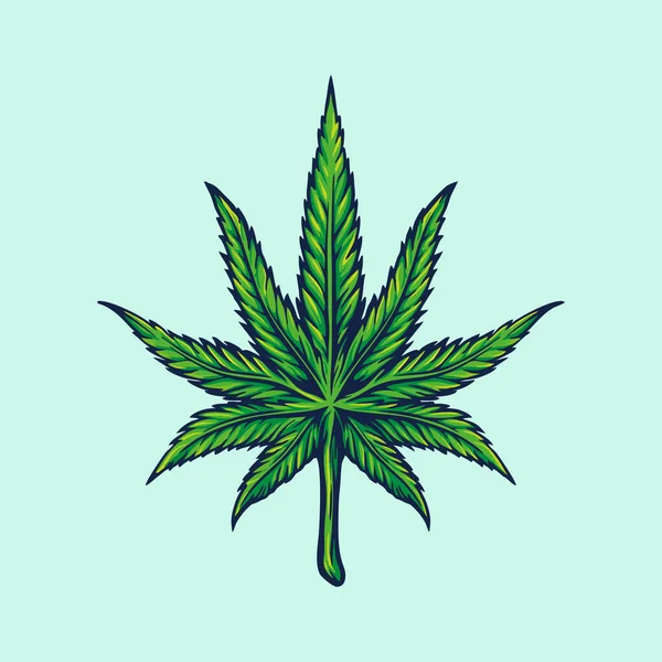 Esrar Yaprağı Marihuana Llüstrasyonları Logosu Ürünleri Giyim Markası Çıkartma Poster — Stok Vektör