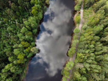 Ormandaki nehrin yukarıdan görünüşü. Vahşi yaşamın güzel panoramik manzarası. Bir İHA 'dan ateş etmek. Duvar kağıdı, ekran koruyucu, kapak.