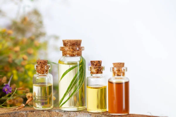 Verzameling Van Essentiële Kruidenolie Flessen Aromatherapie Spa Concept — Stockfoto