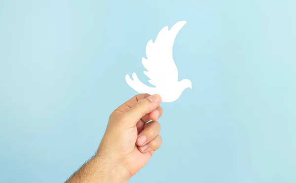 Man Hand Holding White Paper Dove Bird Blue Background International — Stock Photo, Image