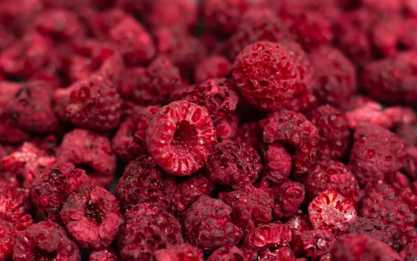 Heap Freeze Dried Raspberries Dehydrated Food Background — Stock Photo, Image