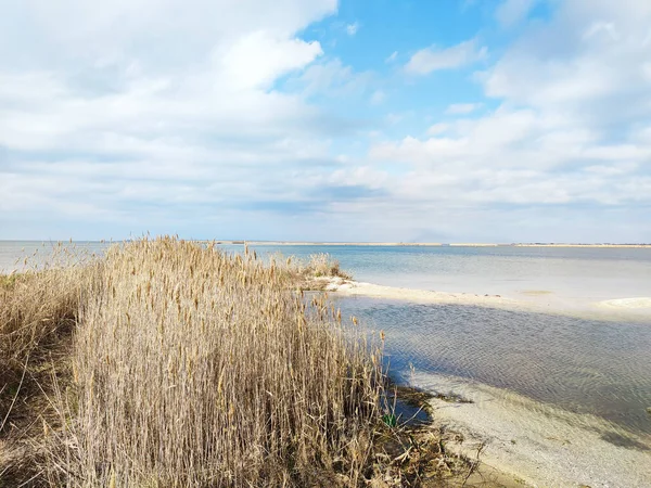 Panorama Pięknej Trawiastej Plaży Wydmowej Chmurnym Niebem Blu Tło Dzikiej — Zdjęcie stockowe