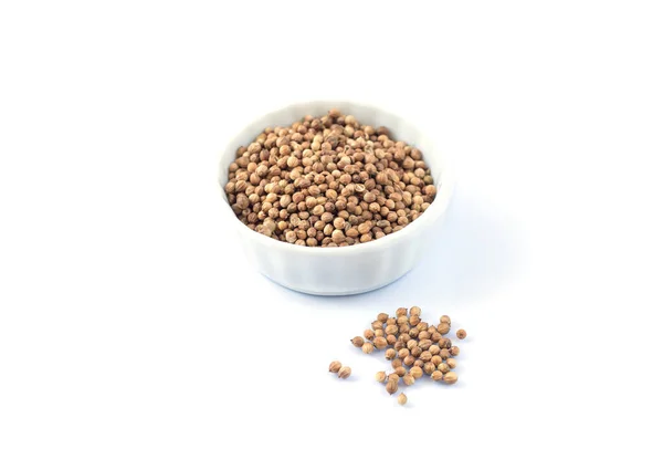 Ceramic Bowl Dried Coriander Seeds Isolated White Background — Zdjęcie stockowe