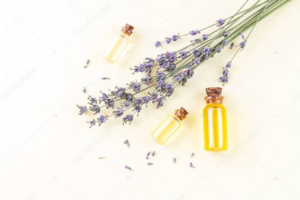 Glass bottles set of lavender essential oil or natural perfume with dried lavender flowers top view. Aromatherapy, skincare, spa or massage concept