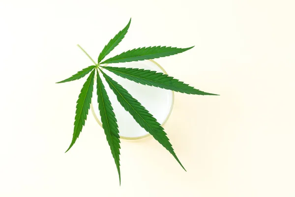 大麻の葉のオーバーヘッドビューと麻ミルクのガラス — ストック写真