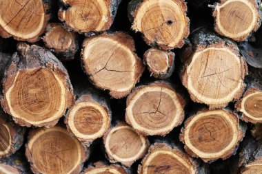 Şömine arka planı için odun yığınları. Yakacak odunların kış mevsimi konseptine hazırlanması