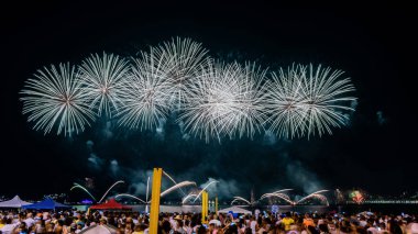 Yeni yılın (Reveillon) gece görüntüleri. Parti, konserler ve havai fişeklerle dolu bir etkinlik. İnsanlar Rio de Janeiro, Brezilya 'da bir plajda meydana gelen patlamaların ışık ve renklerini gözlemliyor.