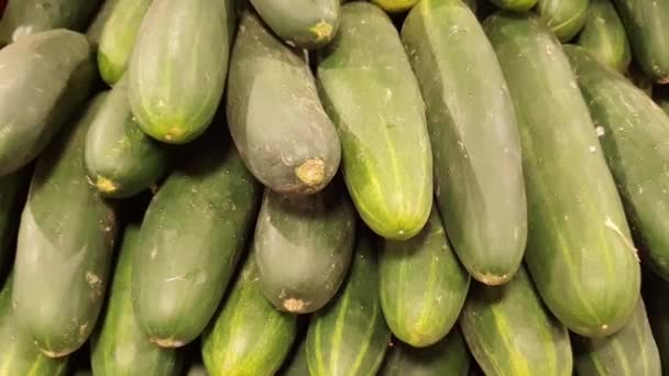 Diverse Groene Komkommers Een Plank Van Supermarkt Worden Gebruikt Salades — Stockvideo