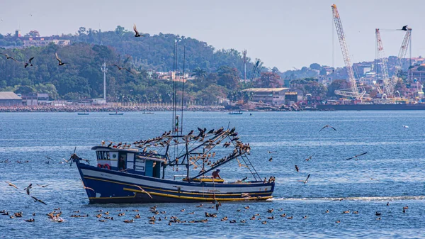Fischerboot Tagsüber Von Seevögeln Umgeben Der Guanabara Bucht Rio Janeiro — Stockfoto