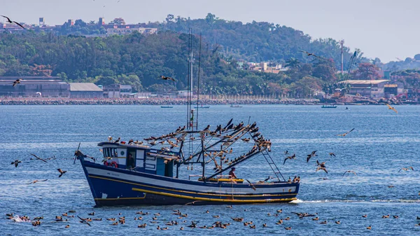 Bateau Pêche Entouré Oiseaux Marins Pendant Journée Dans Baie Guanabara — Photo