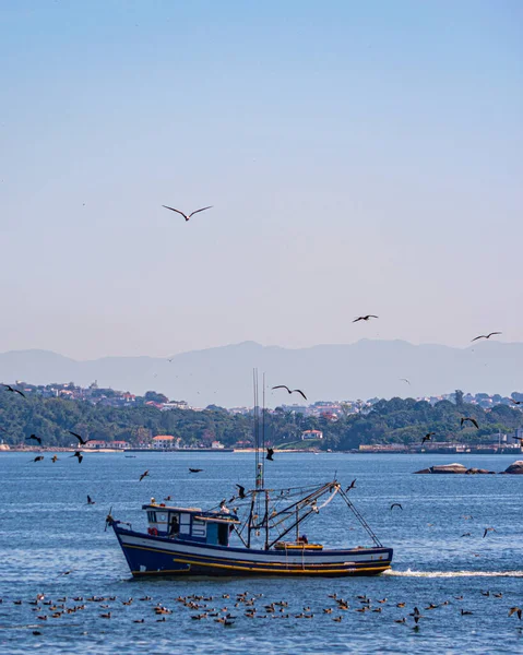 Bateau Pêche Entouré Oiseaux Marins Pendant Journée Dans Baie Guanabara — Photo