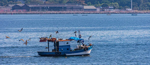 Fischerboot Tagsüber Von Seevögeln Umgeben Der Guanabara Bucht Rio Janeiro — Stockfoto