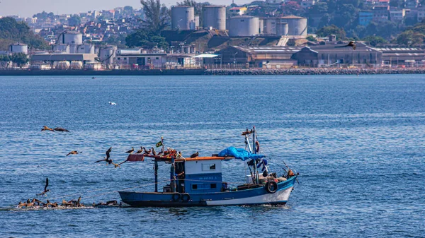 Fischerboot Tagsüber Von Seevögeln Umgeben Der Guanabara Bucht Rio Janeiro — Stockfoto