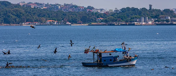 Barca Pesca Circondata Uccelli Marini Durante Giorno Nella Baia Guanabara — Foto Stock