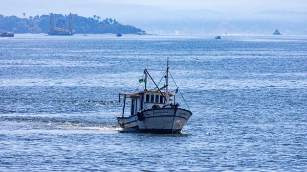 グアナバラ湾 リオデジャネイロ ブラジルの日中に海鳥に囲まれた漁船 — ストック写真