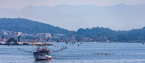 Barco Pesqueiro Cercado Por Aves Marinhas Durante Dia Baía Guanabara — Fotografia de Stock