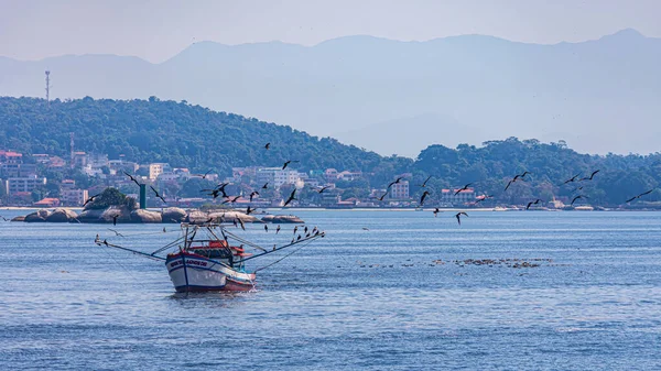 Barco Pesqueiro Cercado Por Aves Marinhas Durante Dia Baía Guanabara — Fotografia de Stock