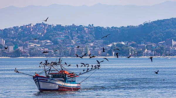 Fischerboot Tagsüber Von Seevögeln Umgeben Der Guanabara Bucht Rio Janeiro — Stockfoto