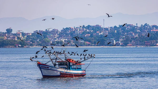 Fischerboot Tagsüber Von Seevögeln Umgeben Der Guanabara Bucht Rio Janeiro — Stockfoto