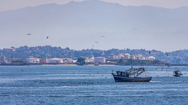 Łódź Rybacka Otoczona Ptakami Morskimi Ciągu Dnia Zatoce Guanabara Rio — Zdjęcie stockowe
