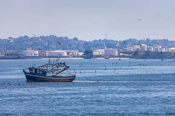 Oiseaux Mer Volant Dans Mer Depuis Baie Guanabara Rio Janeiro — Photo