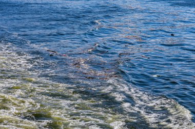 Guanabara Körfezi manzarası, Rio de Janeiro, Güneydoğu Brezilya