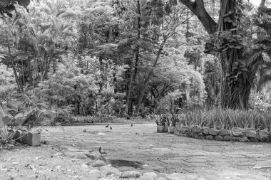 Niteroi, Rio de Janeiro, Brezilya - CIRCA 2021: Campo de Sao Bento olarak bilinen şehir parkı kapalı ve COVID-19 salgını sırasında kararlaştırılan tecrit kararının önünde kimse olmadan