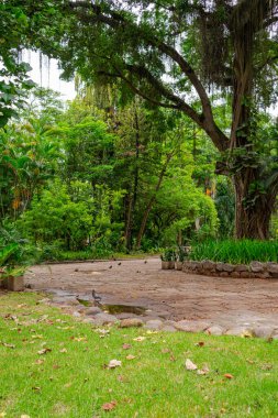 Niteroi, Rio de Janeiro, Brezilya - CIRCA 2021: Campo de Sao Bento olarak bilinen şehir parkı kapalı ve COVID-19 salgını sırasında kararlaştırılan tecrit kararının önünde kimse olmadan