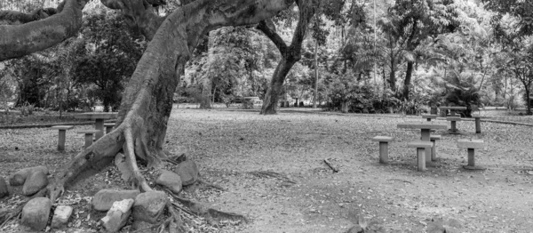 Niteroi, Rio de Janeiro, Brezilya - CIRCA 2021: Campo de So Bento olarak bilinen şehir parkı, COVID-19 salgını sırasında kararlaştırılan tecrit kararının önünde ve önlerinde kimse olmadan kapatıldı