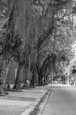 Niteroi, Rio de Janeiro, Brezilya - CIRCA 2020: COVID-19 salgını sırasında kararlaştırılan tecrit karşısında araçların hareket etmediği ve boş olan sokaklar. Fotoğraf Brezilya 'daki ikinci enfeksiyon dalgası sırasında yeni Sars-CoV-2 vakalarında çekildi