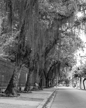 Niteroi, Rio de Janeiro, Brezilya - CIRCA 2020: COVID-19 salgını sırasında kararlaştırılan tecrit karşısında araçların hareket etmediği ve boş olan sokaklar. Fotoğraf Brezilya 'daki ikinci enfeksiyon dalgası sırasında yeni Sars-CoV-2 vakalarında çekildi