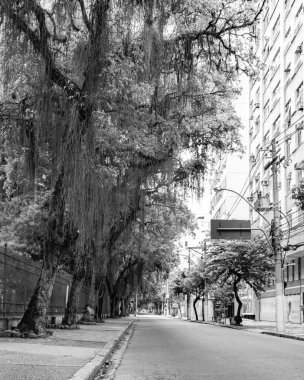 Niteroi, Rio de Janeiro, Brezilya - CIRCA 2020: COVID-19 salgını sırasında kararlaştırılan tecrit karşısında araçların hareket etmediği ve boş olan sokaklar. Fotoğraf Brezilya 'daki ikinci enfeksiyon dalgası sırasında yeni Sars-CoV-2 vakalarında çekildi