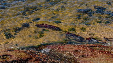 Gün boyunca plajda kaya oluşumlarının (taşlar) dokusu ve keskinliğiyle görüntüsü