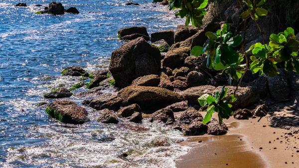 Imagem Formações Rochosas Pedras Com Textura Nitidez Praia Durante Dia — Fotografia de Stock