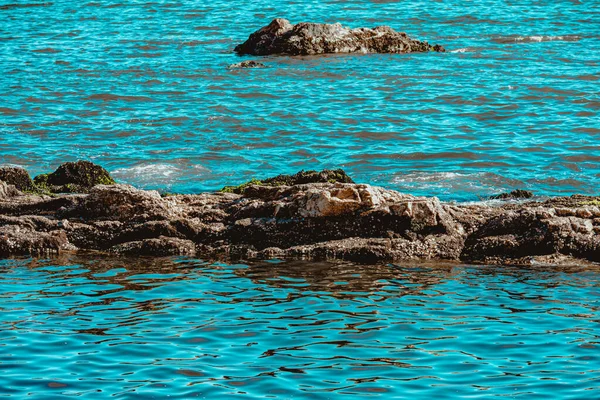 Imagem Formações Rochosas Pedras Com Textura Nitidez Praia Durante Dia — Fotografia de Stock