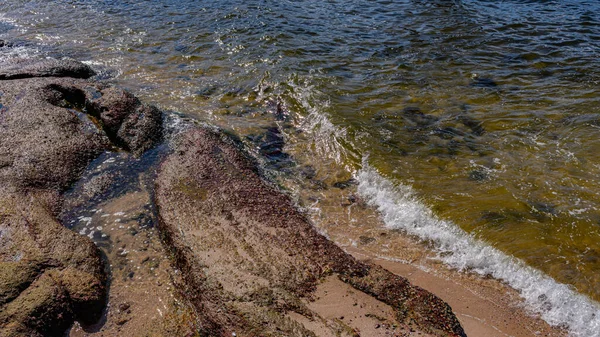 Immagine Formazioni Rocciose Pietre Con Texture Nitidezza Sulla Spiaggia Durante — Foto Stock