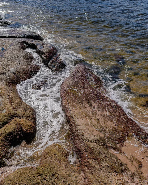 Изображение Скальных Образований Камней Текстурой Резкостью Пляже Течение Дня — стоковое фото