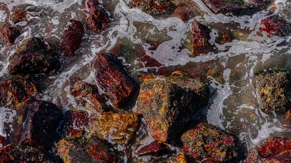 Imagen Formaciones Rocosas Piedras Con Textura Nitidez Playa Durante Día — Foto de Stock