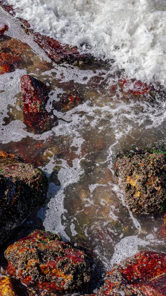 Imagen Formaciones Rocosas Piedras Con Textura Nitidez Playa Durante Día — Foto de Stock